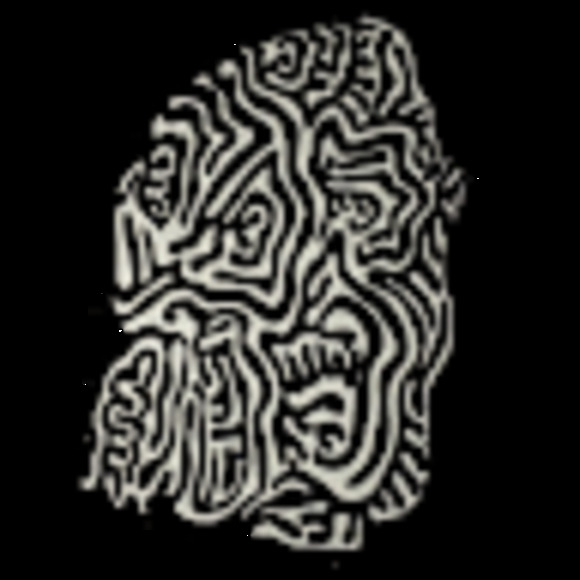 Meet your Posher, Seril - Picture 1 of 1